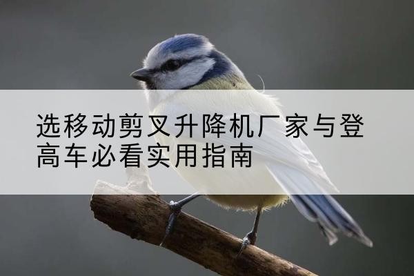 开封电动升降机厂家-选移动剪叉升降机厂家与登高车必看实用指南