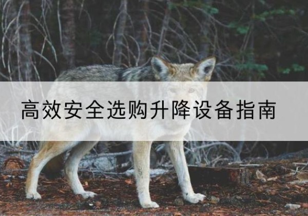 开封升降货梯厂家推荐-*安全选购升降设备指南