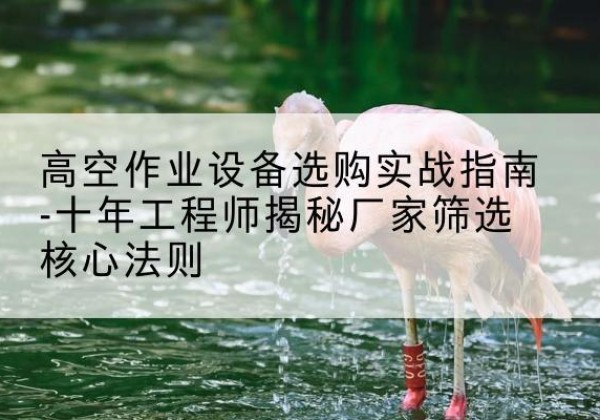 开封剪叉式升降机厂家-高空作业设备选购实战指南-十年工程师揭秘厂家筛选核心法则